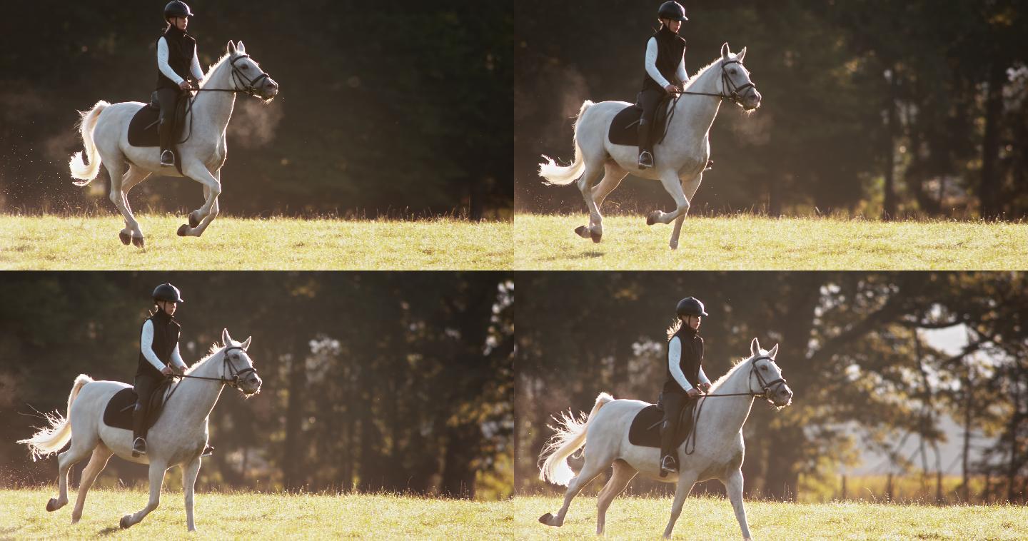 一个女人骑着她的白色马在草地上奔跑