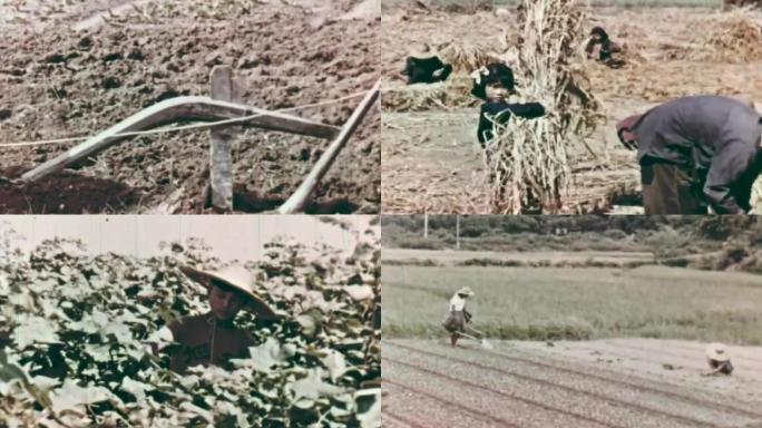 1962年农村现代灌溉