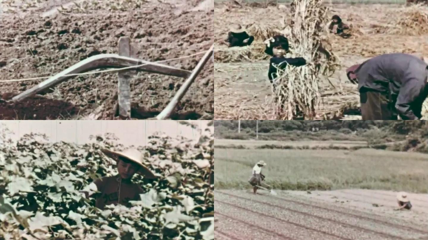 1962年农村现代灌溉