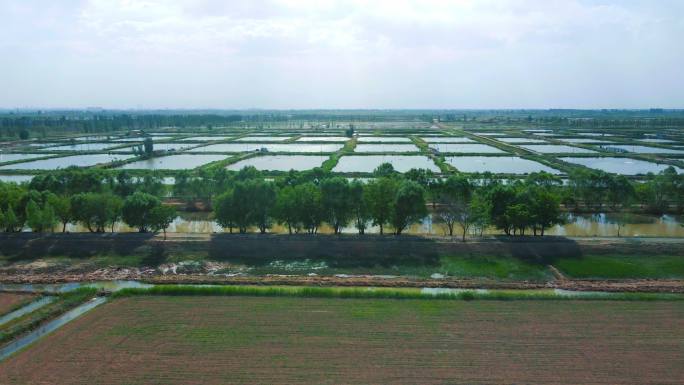黄河水利灌溉农业良田