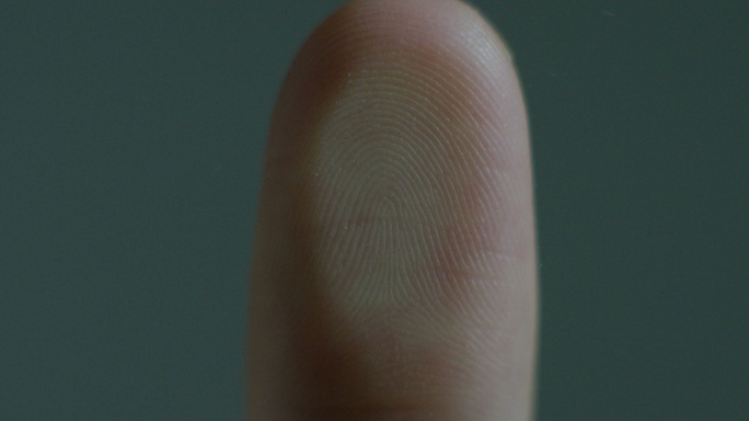 生物特征指纹扫描仪的未来数字处理。