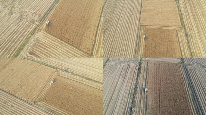 4K航拍收割小麦