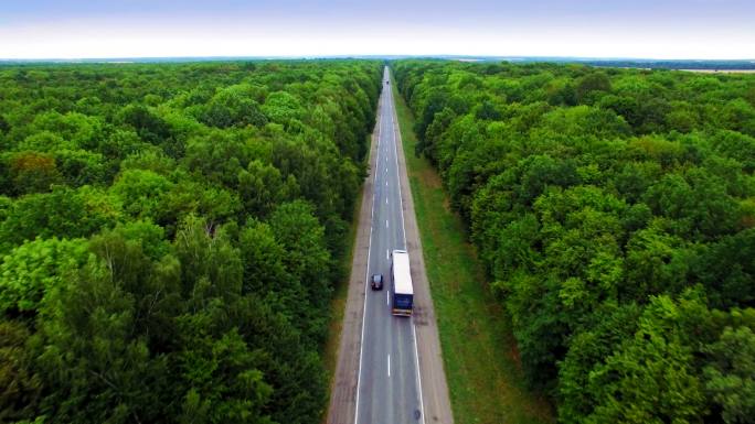 穿过绿色森林的道路鸟瞰图