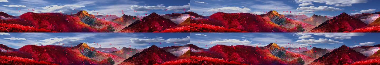 红色花瓣映山红山红绸子