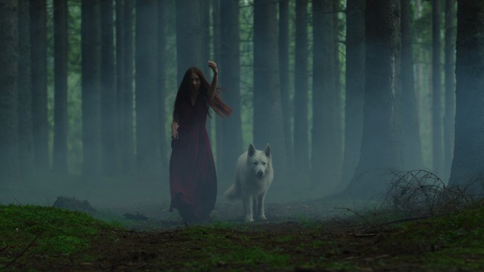 雾林中的女人和狗