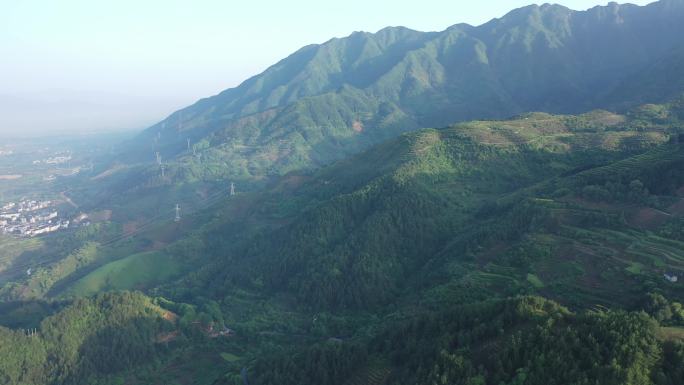 高清油茶茶园高山农业种植基地航拍