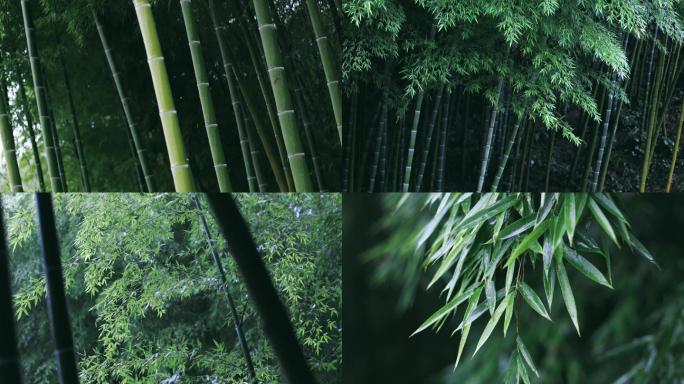 【4K合集】下雨竹林禅意雨滴自然唯美空镜