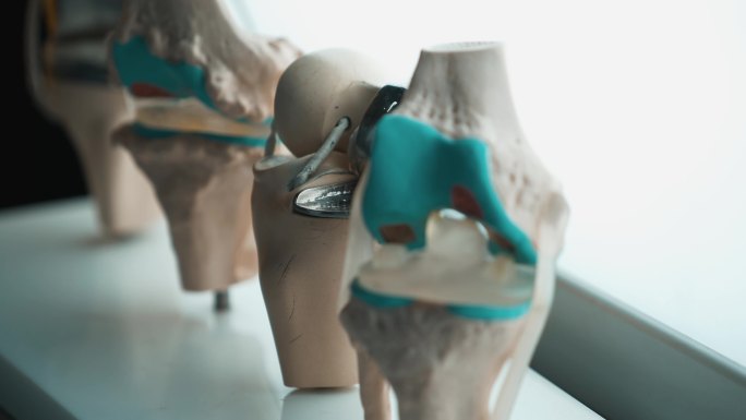 4K人体膝关节结构模型空镜
