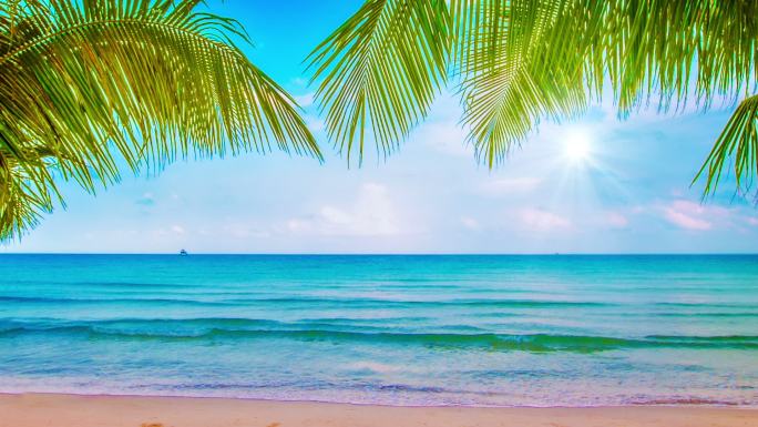 假日海滩棕榈树树叶云天