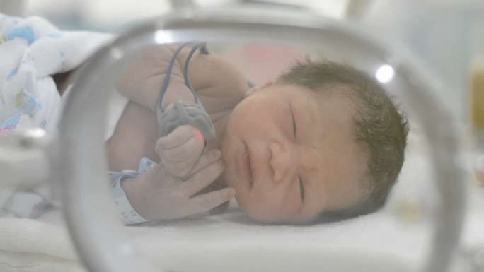 新生儿婴儿人类繁衍新生人口