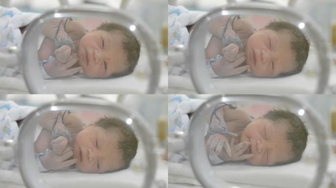 新生儿婴儿人类繁衍新生人口