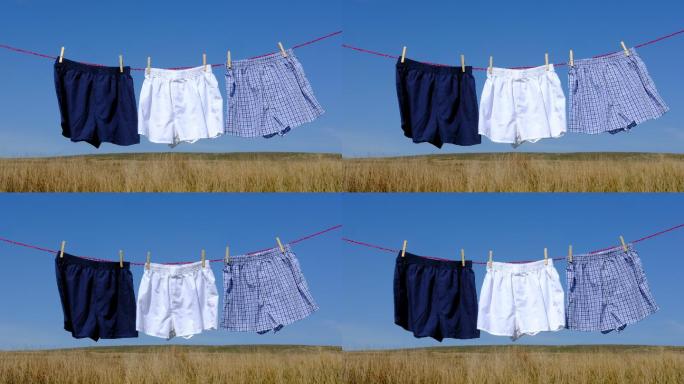 三条短裤放在洗衣线上