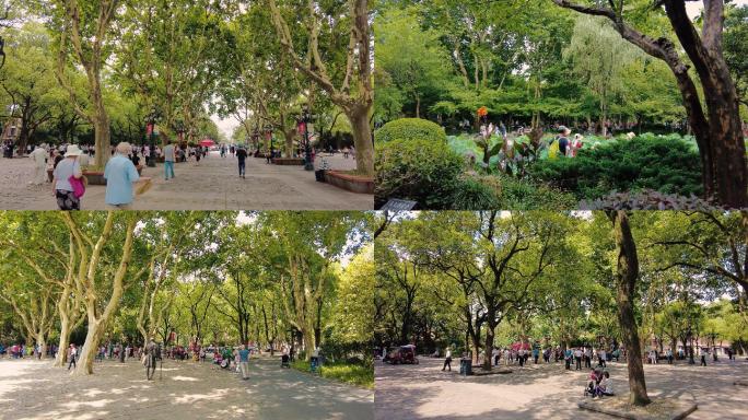 上海鲁迅公园4K实拍