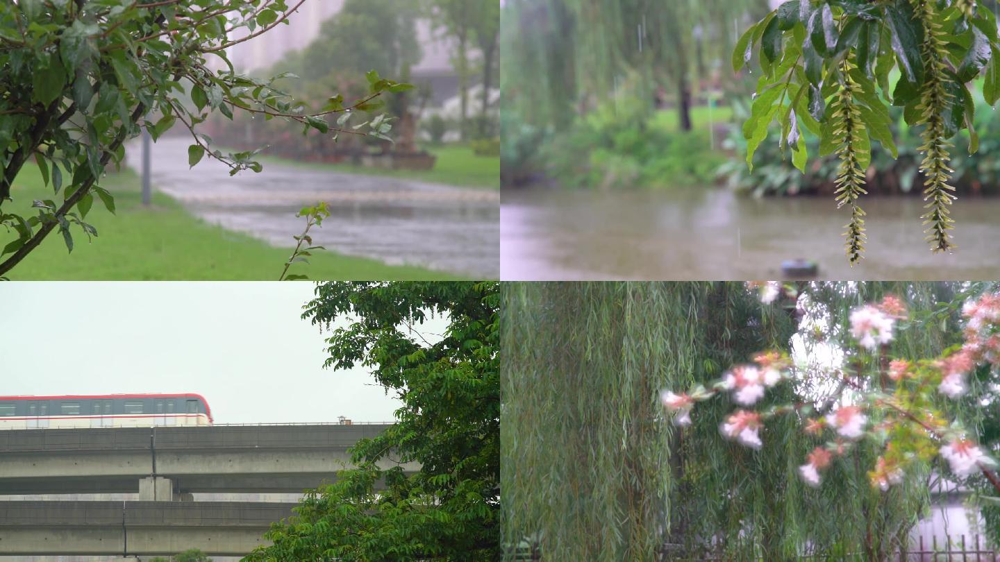 唯美雨景雨天下雨梅雨季节