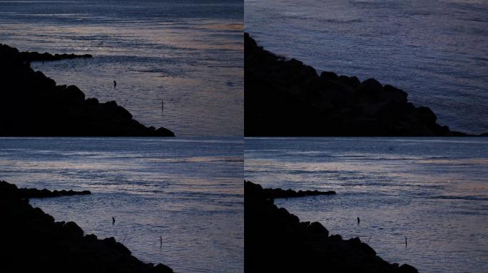 傍晚河边江边沿岸的飞鸟4k视频素材