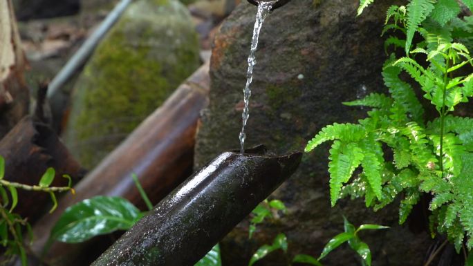 小桥流水微型景观视频