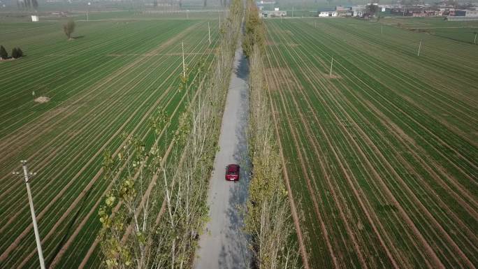 汽车行驶在乡间道路上