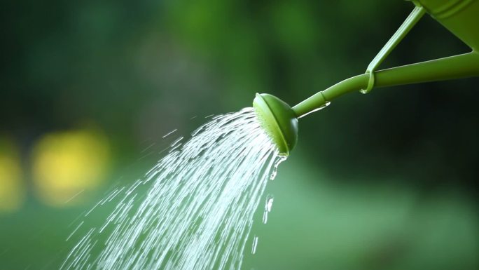 浇水灌溉浇水播种花圃种植