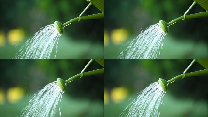 浇水灌溉浇水播种花圃种植