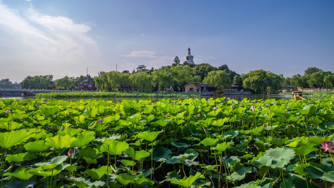 【4K】北京北海公园-日景延时02