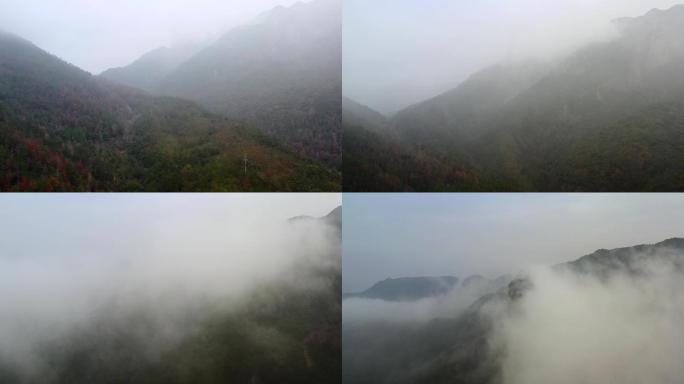 仙居淡竹乡起飞穿云拍饭蒸岩4K