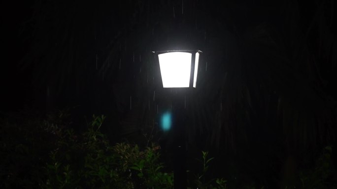 升格慢动作雨夜下小雨