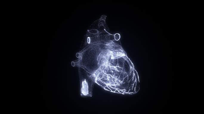 人类心脏的虚拟图像
