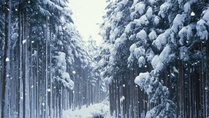 智取威虎山林海雪原