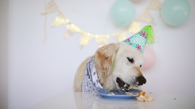 生日吃蛋糕派对帽桌子可爱