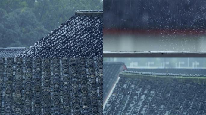 江南水乡古镇下雨小鸟麻雀落在屋檐