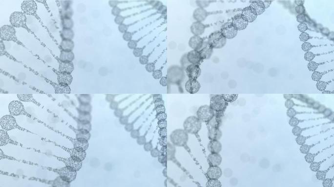 两条旋转的丛状DNA链