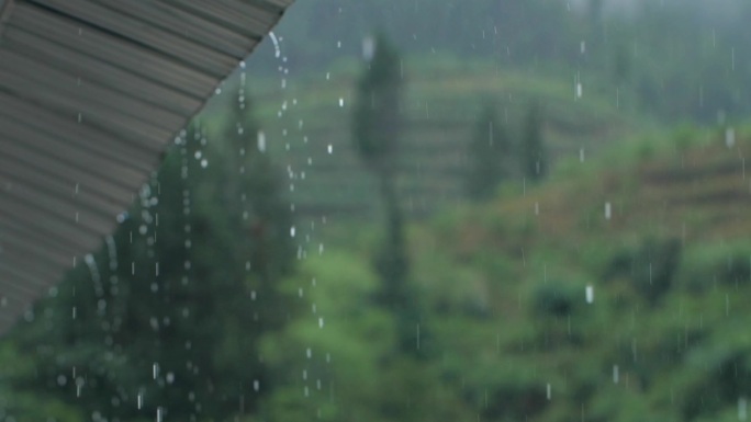 原创养殖场钢棚下雨可用于各类宣传片专题片