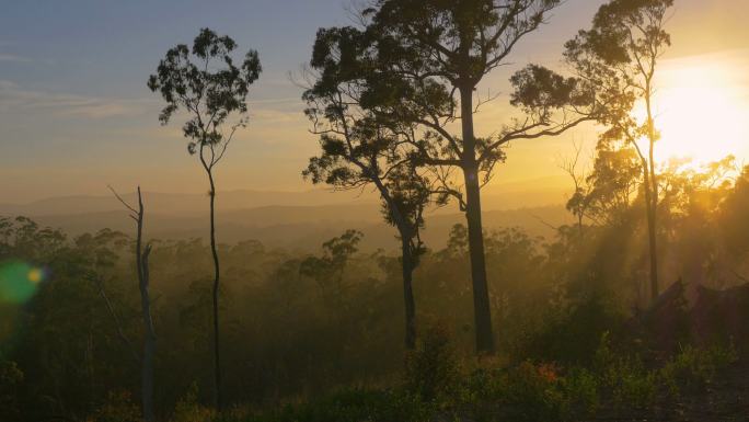 新南威尔士州蓝山上日落美景