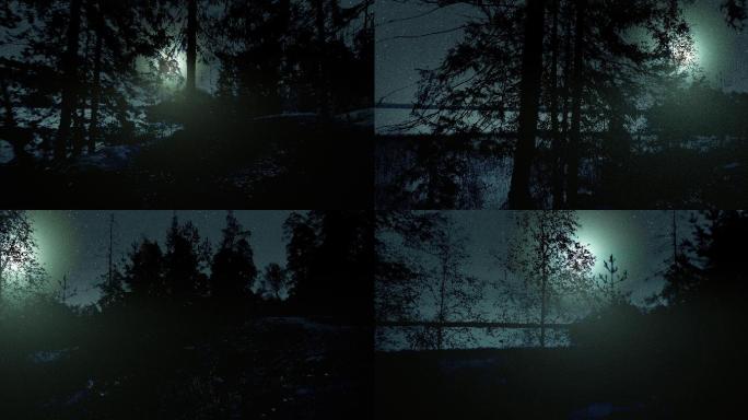 夜森林游戏场景前进探索原始