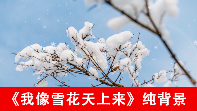 我像雪花天上来-配乐背景