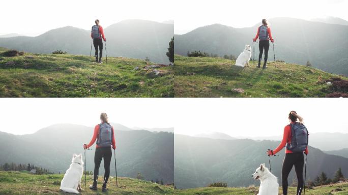 狗和女人在山上欣赏风景