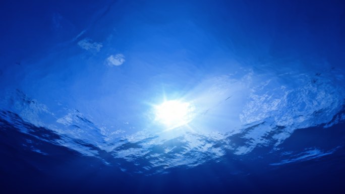 完美的水下阳光海中大海潜水潜泳