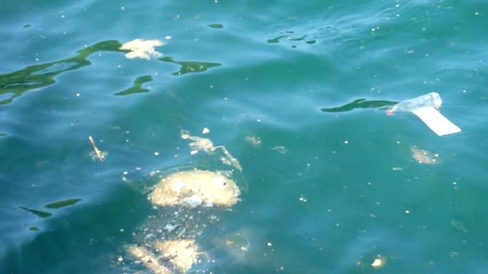 海洋环境污染垃圾油渍漂浮物
