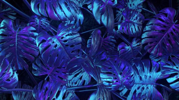 蓝紫色抽象植物背景