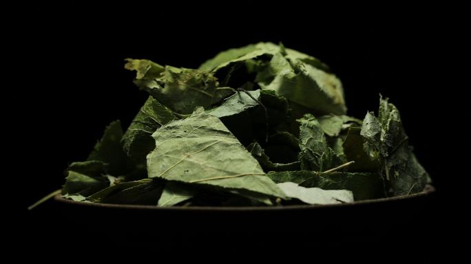 淫羊藿中草药中医药传统中药学本草纲目