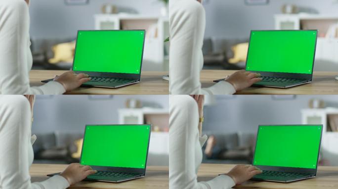 笔记本电脑的绿色模拟屏幕