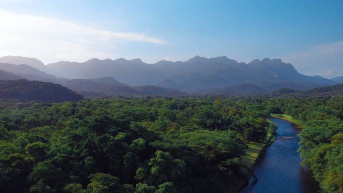 亚马逊景观生态环境园林森林树木小河自然风