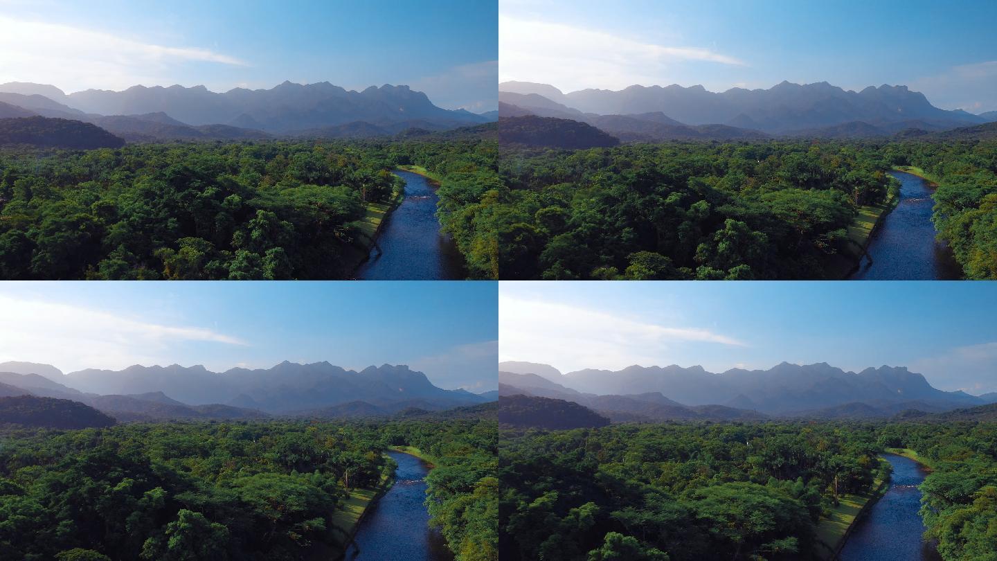 亚马逊景观生态环境园林森林树木小河自然风