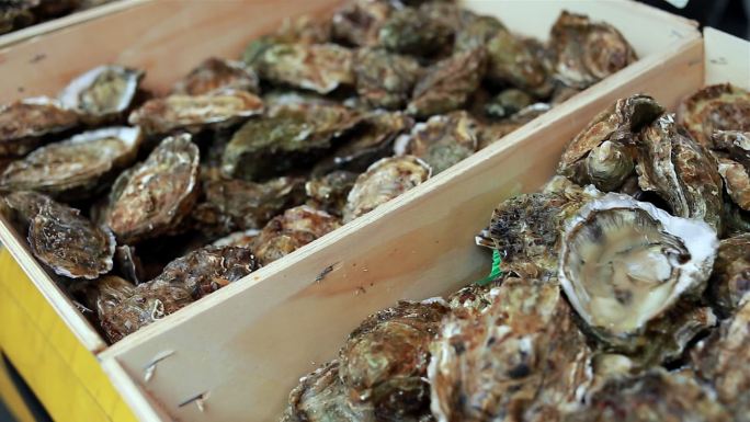 鱼市场的贝类柜台上装在木箱里的新鲜牡蛎