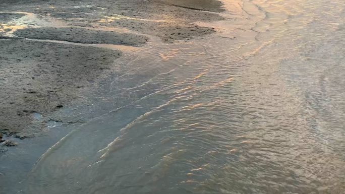 布里斯班河沿岸的泥滩