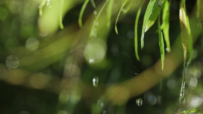 水资源地表水河流水库湖泊