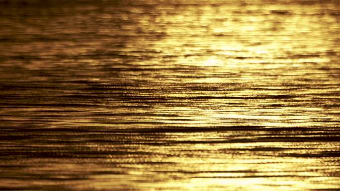 金色海洋-慢镜头