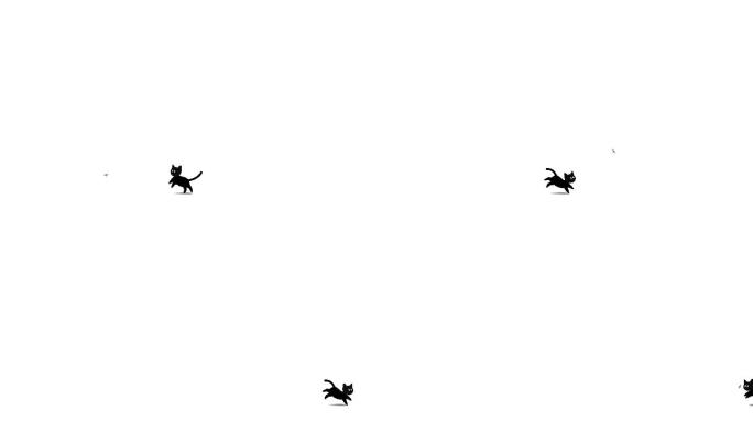 卡通黑猫追逐并试图捕捉苍蝇