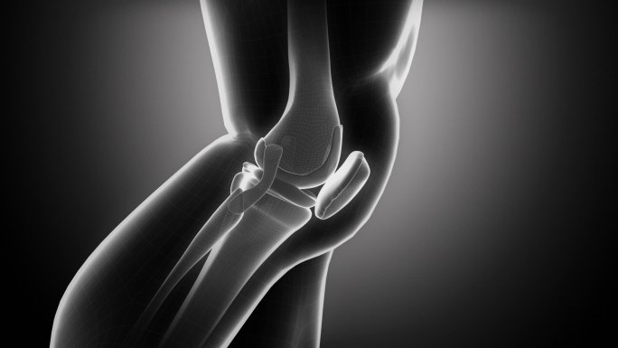 膝关节解剖在三维透视中的应用
