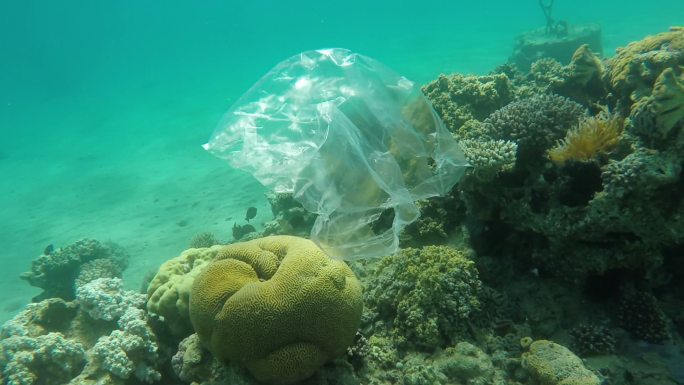 垃圾塑料袋漂浮在红海的珊瑚礁上